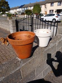 2 Terracotta pots