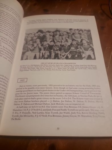 James Stephens GAA Club: 100 Years of the Village, 1887-1987