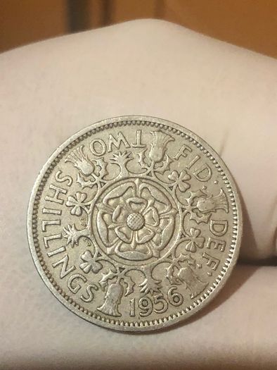 Elizabeth Florin x2