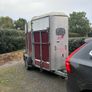 Ifor Williams HB505 Horsebox Image 5