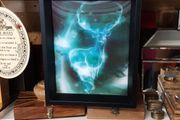 3D picture "expecto patronum"