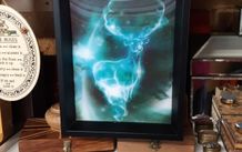 3D picture "expecto patronum"