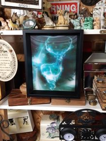 3D picture "expecto patronum"