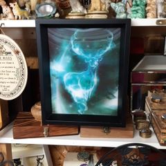 3D picture "expecto patronum"
