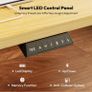 110 x 54 Electric Standing Desk ONE PIECE Height Adjustable Standing Desk Image 9