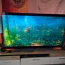 Lg Oled C1 65 Inch Tv Image 3