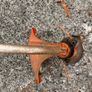 STIHL FS 50 C-E petrol strimmer Image 2