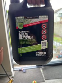 Algae Remover