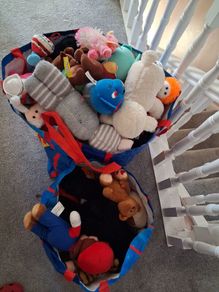 teddies