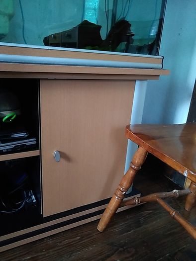 aquarium fish tank