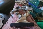 Chromeworks By Regency Goldworks Statue