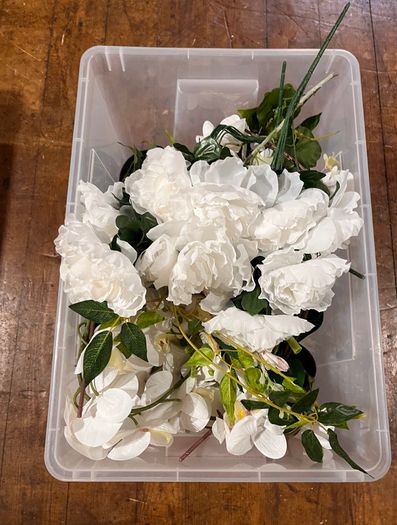 25 Potted Plants & 6 Boxes of Floral Styling Stock