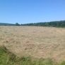 Small Square Hay Bales For Sale 3 euro each Image 4