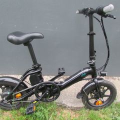 Fiido D3 Pro Electric Bike
