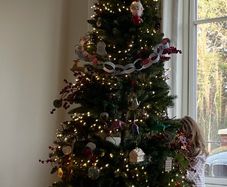 7 Foot Slim Silverthorne Christmas Tree from Dunnes Stores