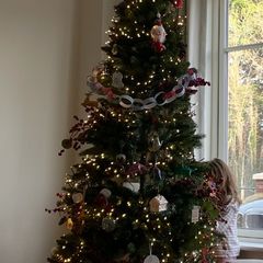 7 Foot Slim Silverthorne Christmas Tree from Dunnes Stores