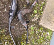 suki rgv 250 vj21 exhaust