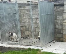 dog run
