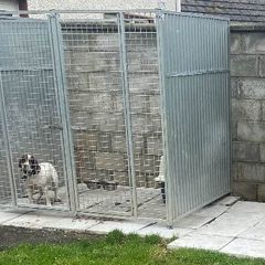 dog run