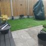astroturf grass Image 2