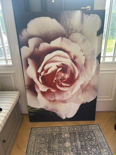 Extra large scatter box rose canvas artwork