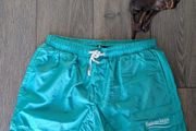Balenciaga luxury swim shorts