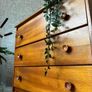 Vintage Retro Mid Century Teak Chest of Drawers Image 6