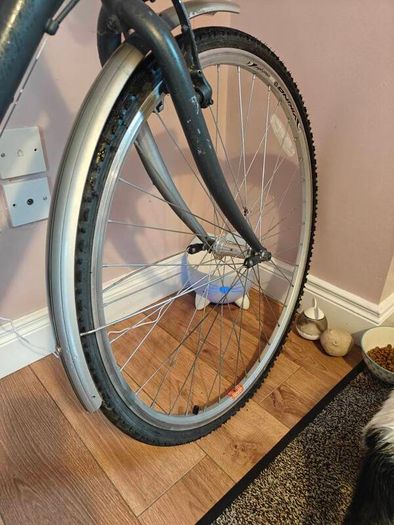 Small women's/ kids Viking bike with Kryptonite lock