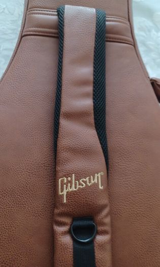 Gibson Case