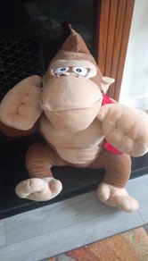 Toy