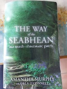 The Way of the Seabhean, Amantha Murphy Irish Shamanic Path, Womancraft Publishing