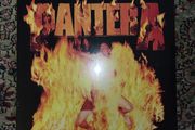 Pantera: Reinventing The Steel LP