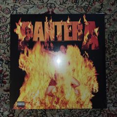 Pantera: Reinventing The Steel LP