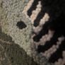 drawing designer hand made fabric pathing the wild boss Image 4