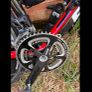 focus cayo Image 6