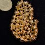 Beautiful Rhinestone brooch Image 3