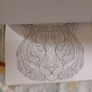 Therapeutic Colouring Books x 2 Image 4
