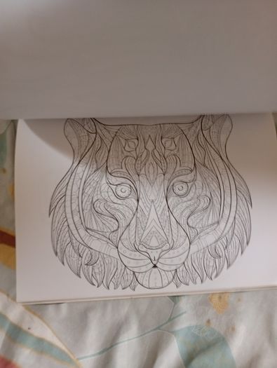 Therapeutic Colouring Books x 2