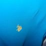 Polo Ralph Lauren BRAND NEW Image 4
