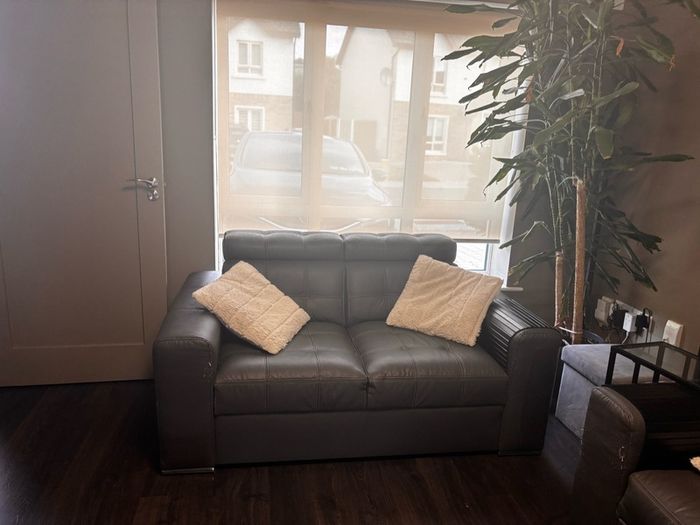 sofa bed and sofa