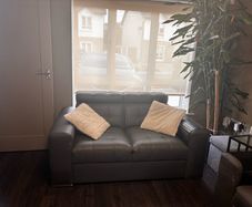 sofa bed and sofa