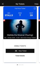 Matilda the musical