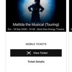 Matilda the musical
