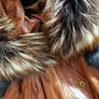 women leather jacket Image 4