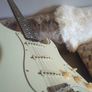 Fender Classic Player '60s Stratocaster - Custom Shop Designed Image 8