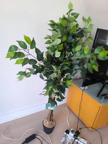 artificial plant