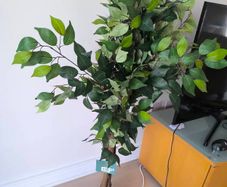 artificial plant