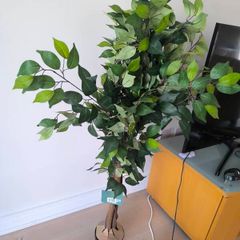artificial plant