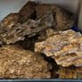 Dragon Stone Image 2