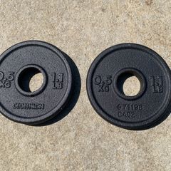 0.5kg weight plates (28mm)